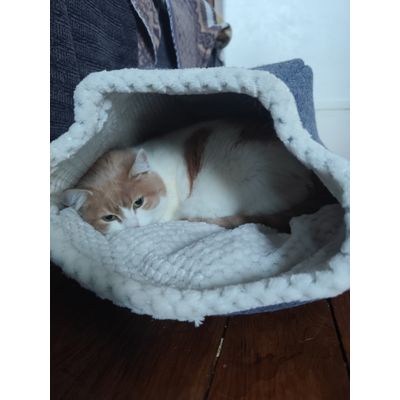 So comfy