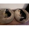 Happy doggies 15kg and 8kg 90cm