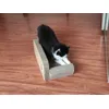 Karlie scratching sofa Relax
