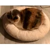 Noisette
