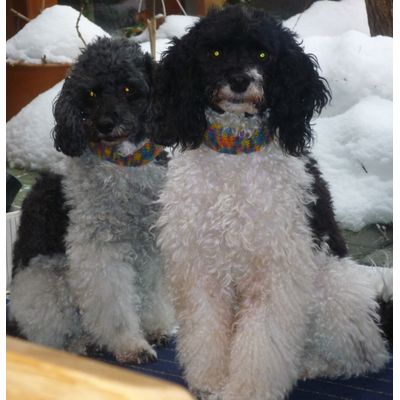 Ronja und Dario