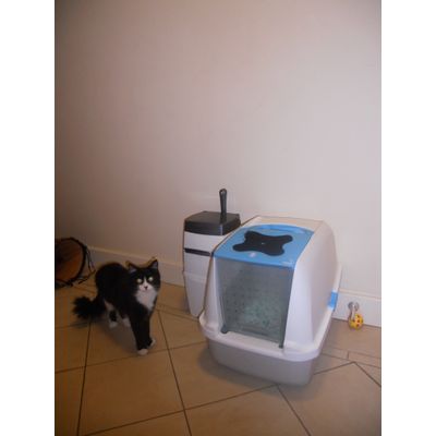 Fluffy n the Litter Locker II