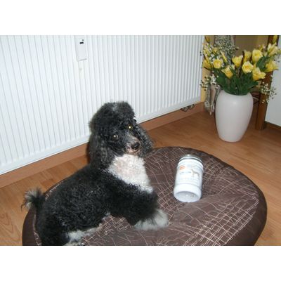 Robin braucht zusätzlich