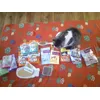 Kitka i jej rzeczy kupione w zooplus