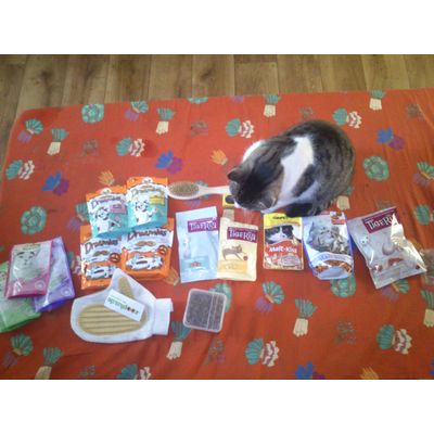 Kitka i jej rzeczy kupione w zooplus