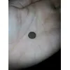 Tamaño de pienso