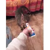 lui la trova buonissima