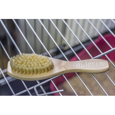 Brosse en poils naturels pour chien