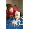 Aaliyah en pleine toilette