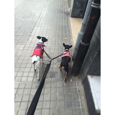 excelente