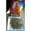 comida defectuosa para canarios