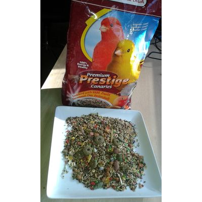 comida defectuosa para canarios