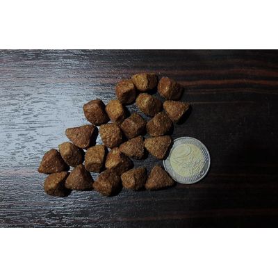 croquettes medium