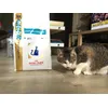 Croquettes chat hypoallergenic Royal canin