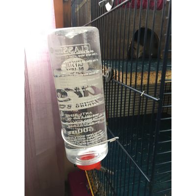 lebiberonestparfaitmesratsladorent