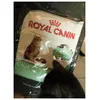 Royal Canin