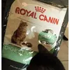 Royal Canin