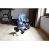 Mes gros chats et CATSAN