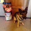 Iska Spiser Habby Dog