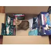 Lucy enjoying her delivery