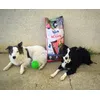 bosch for Jucky and Kyra
