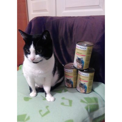 Feline porta 21 poulet et aloes vera