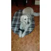 coussin 