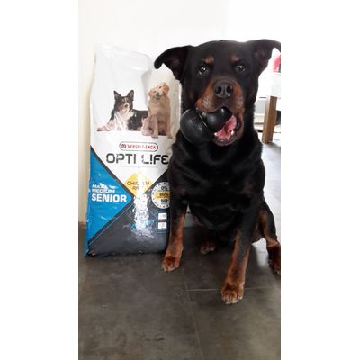 Orko en pleine forme avec ses Opti Life Senior