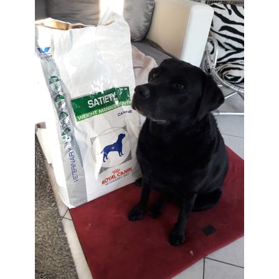 Zirka et ses croquettes