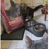 Thor et Gaia smilla on adore