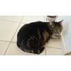Miam miam je me regale