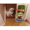 looking forward to her dinner