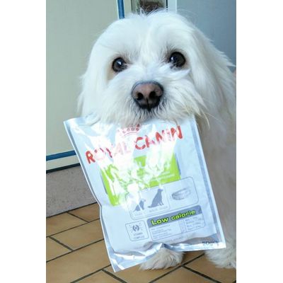 Indi et son sachet