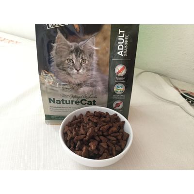Nature cat