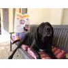 BOUBA
