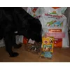 Tappilicious loves food