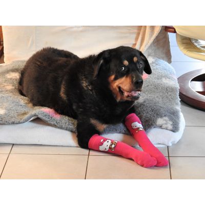 mamie Daisy au chaud