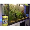 un bon aliment pour de beaux poissons