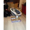 leko et sa nouvelle maison de toilette