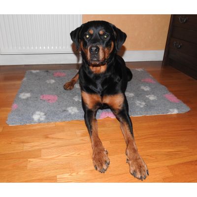 Eyra tapis douillet