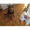Thiamatt va se regaler