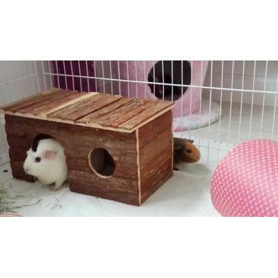 Happy Piggy House