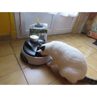 Tanya et les croquettes Metabolic
