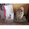 Calie 3 ans 