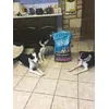 Mum and Pup