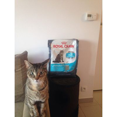 louna