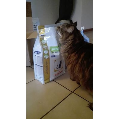 Merci pour le repas