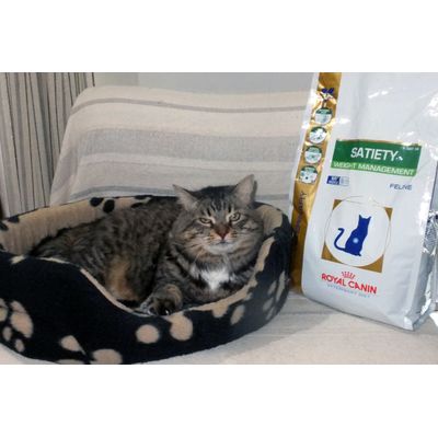 tissou con satiety