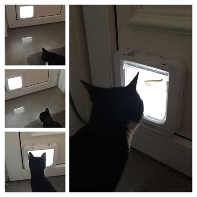 Loving this magic door