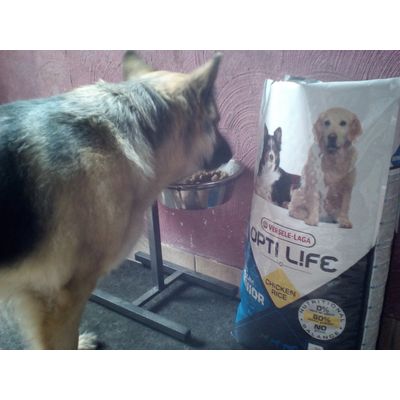 Optez pour Optilife